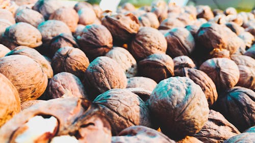 Free Pile of Walnuts Stock Photo