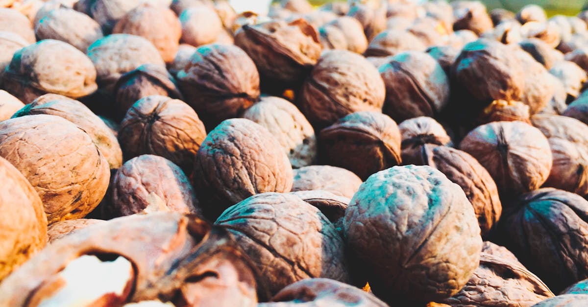 Walnut Shell Powder Exfoliant