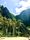 el nido