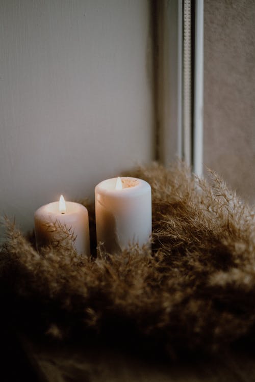 Fotos de stock gratuitas de ardiente, de cerca, Fondo blanco