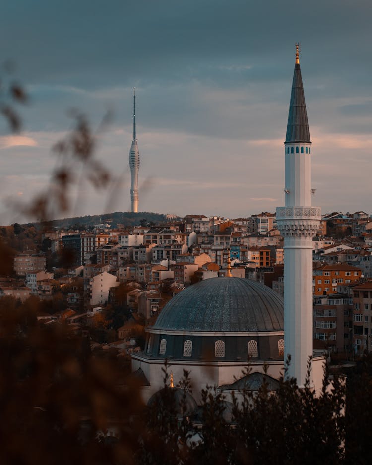 Tokyo Mosque In Shibuya, Japan