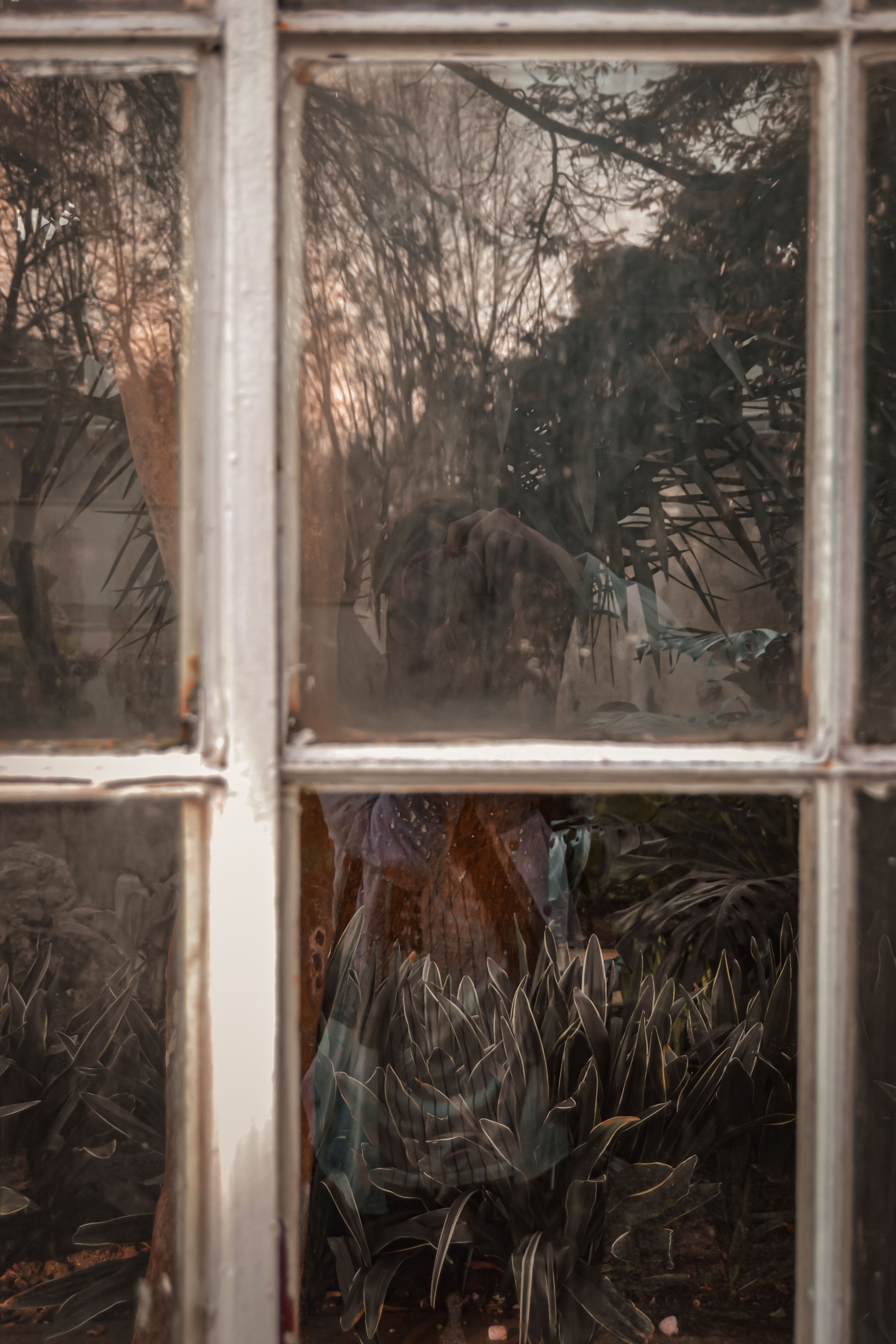 Digital Photography Inside Out
