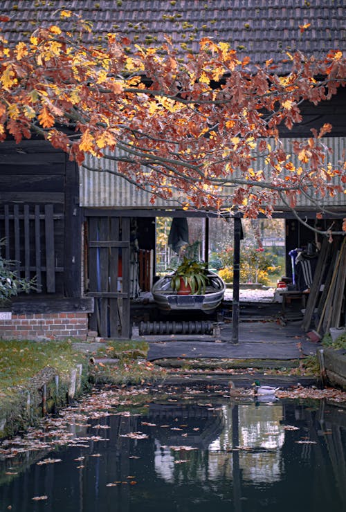 Darmowe zdjęcie z galerii z artystyczny krajobraz, bajka, jesienny dzień