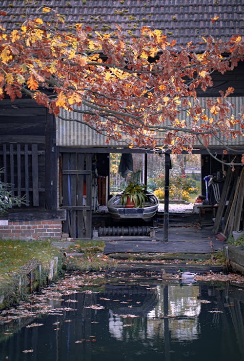 คลังภาพถ่ายฟรี ของ spreewald, ภูมิทัศน์ศิลปะ, ฤดูใบไม้ร่วงที่สดใส