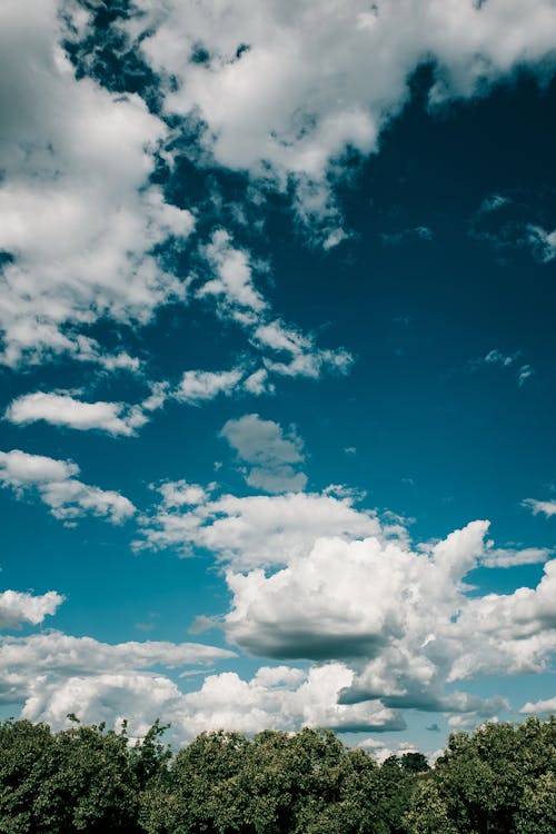 Green Trees Under Beautiful Cloudy Sky