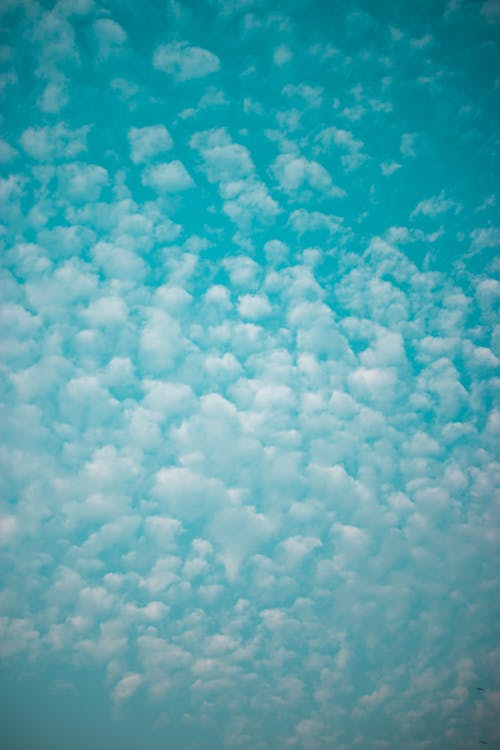 Ilmainen kuvapankkikuva tunnisteilla altocumulus, pilven muodostuminen, pilvet