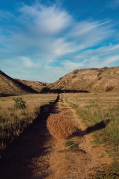 Tranquil rural path with a tumbleweed under a clear sky, ideal for countryside themes.