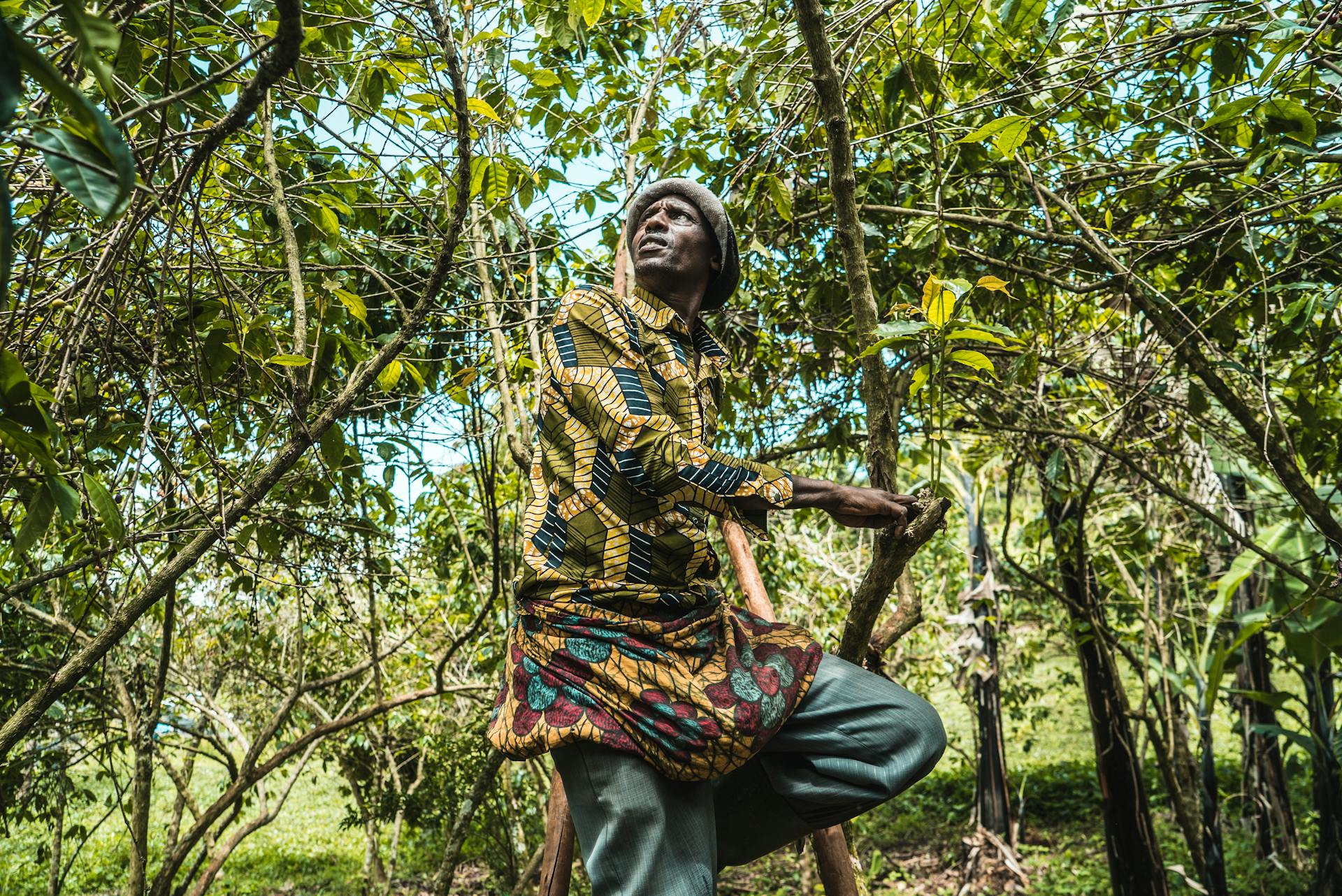 A farmer in Muhanga, Rwanda working amidst lush greenery. Captured outdoors showing agricultural life.