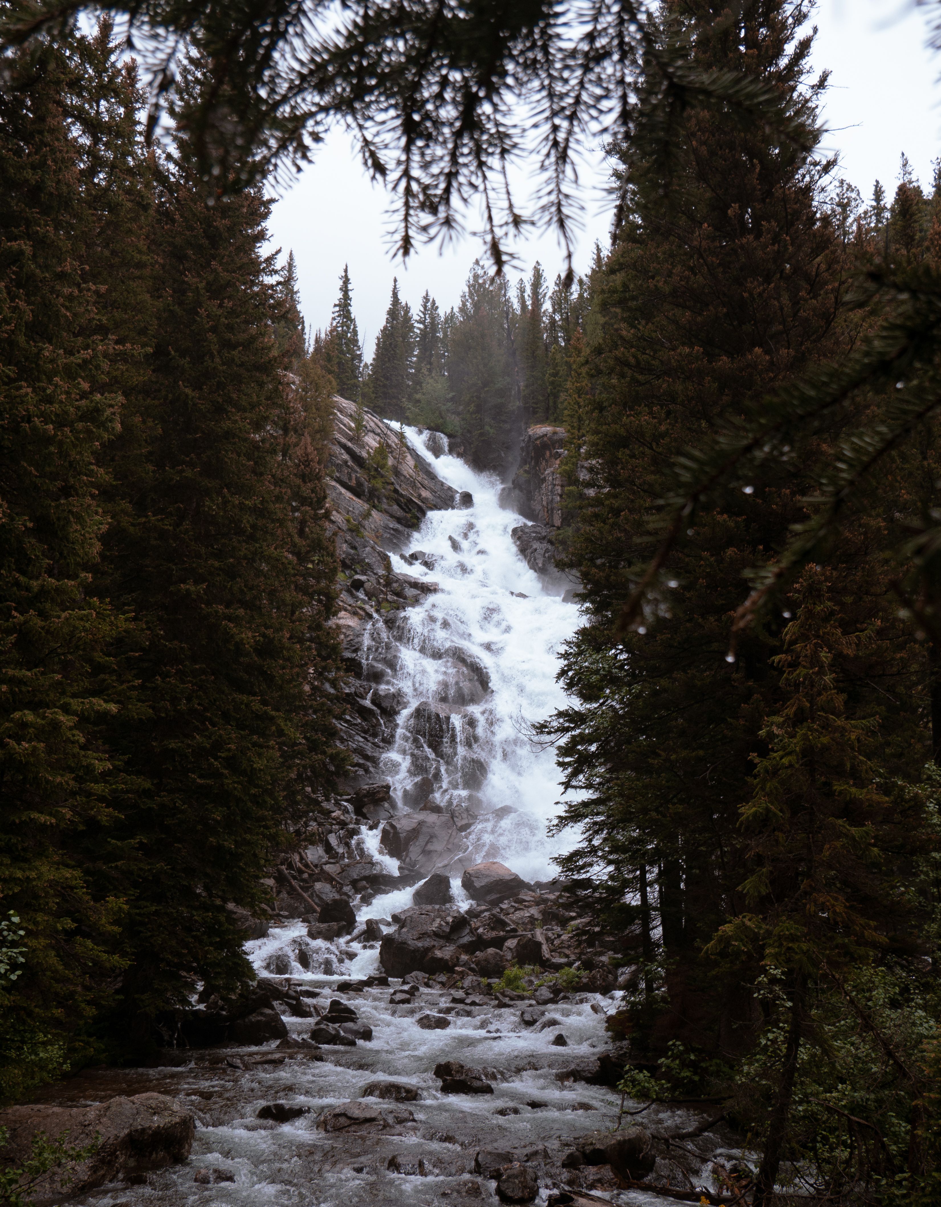 Waterfall on Rocks in Green Forest · Free Stock Photo