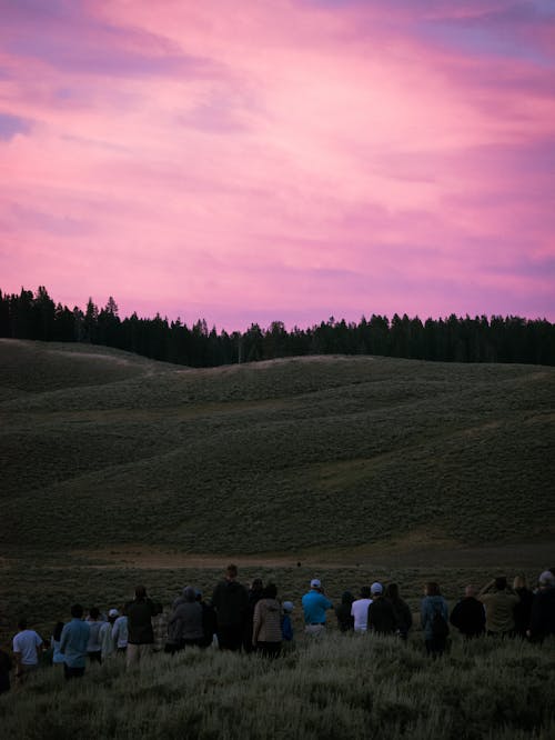 People Watching the Beautiful Scenery of Purple Sky