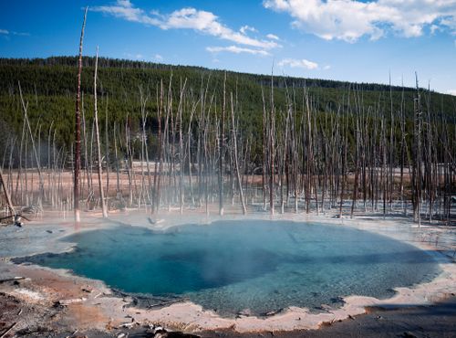 Free Stunning view of a tranquil thermal hot spring surrounded by bare trees and natural beauty. Stock Photo