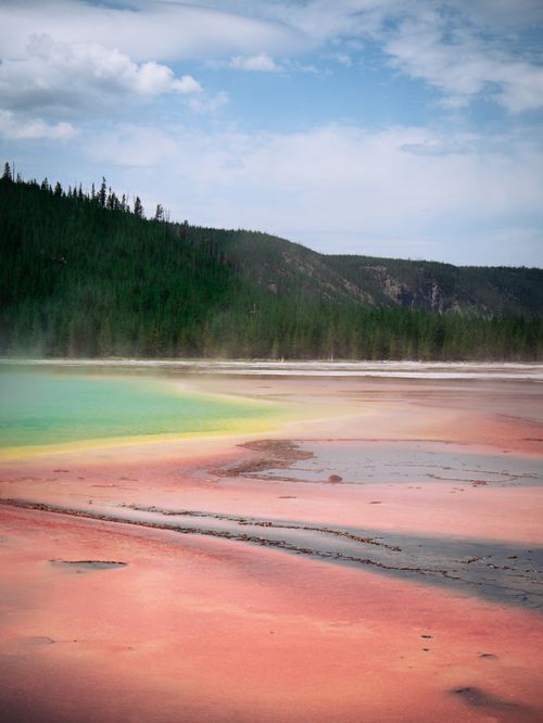 Free Vivid hot spring landscape at Yellowstone with vibrant colors and lush forest backdrop. Stock Photo