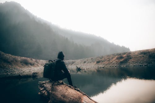 A Person in Black Jacket with Backpack Sitting on a Log Near Body of Water