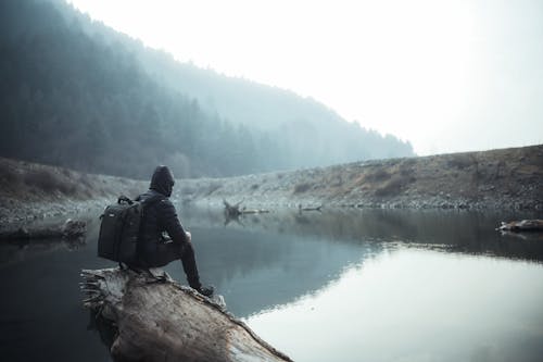 A Man Sitting on Brown Wood Log Beside the Lake