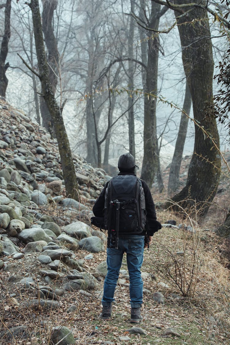 Man With Backpack In Forest