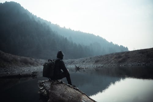 A Person in Black Jacket with Backpack Sitting on a Log Near Body of Water
