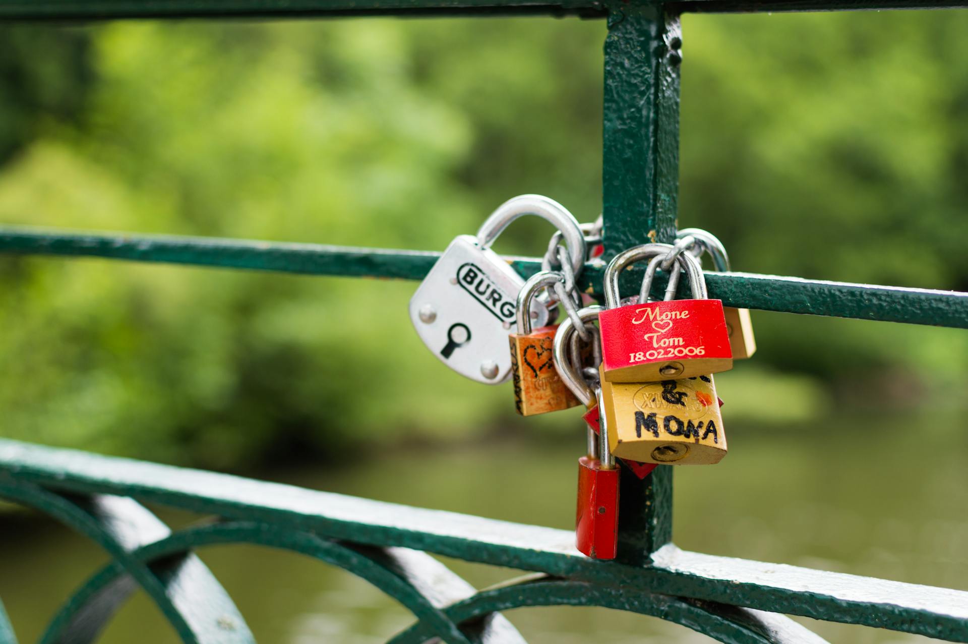 Silver Brown and Red Padlock on Green Steel Trail