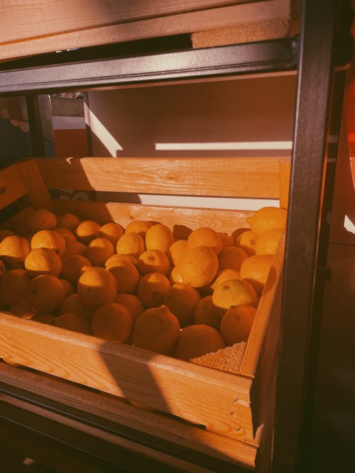 Gratis arkivbilde med appelsiner, forfriskende, frisk Arkivbilde