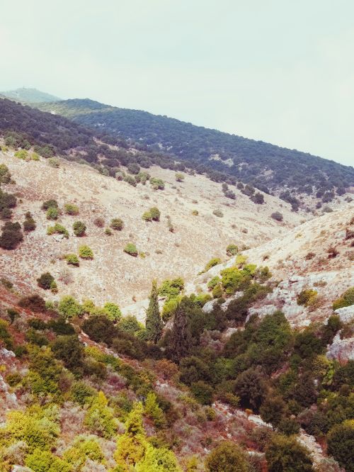 Free A peaceful mountain landscape showcasing lush rolling hills and scattered trees. Stock Photo