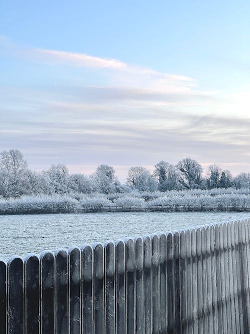 冬季, 冷, 围栏 的 免费素材图片