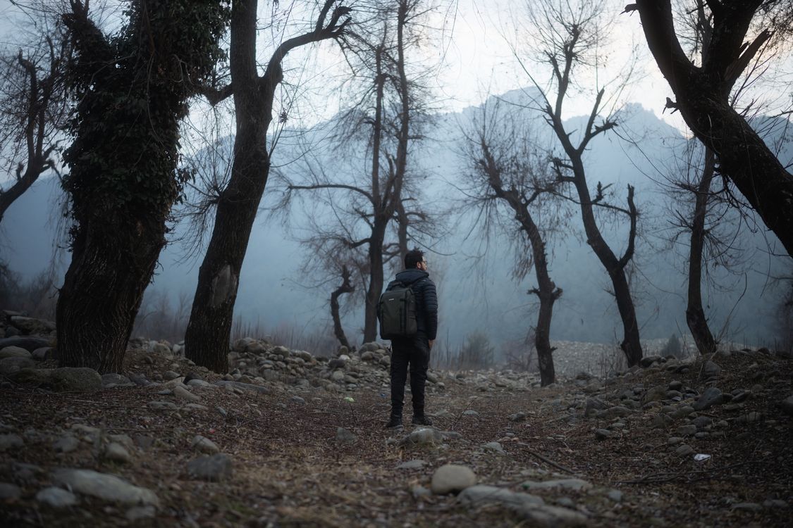 Man Making Ridge Forest A Man Standing on the Forest · Free Stock Photo