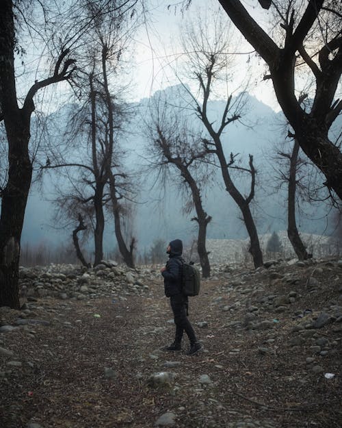 A Man Carrying a Backpack in a Forest