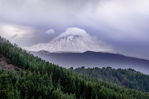 Tenerife, Spain photo 19