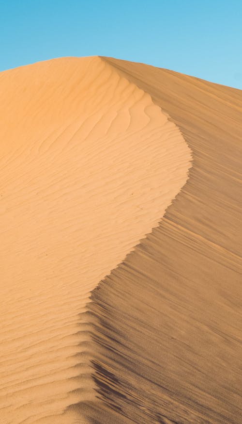Sand Dune on Desert