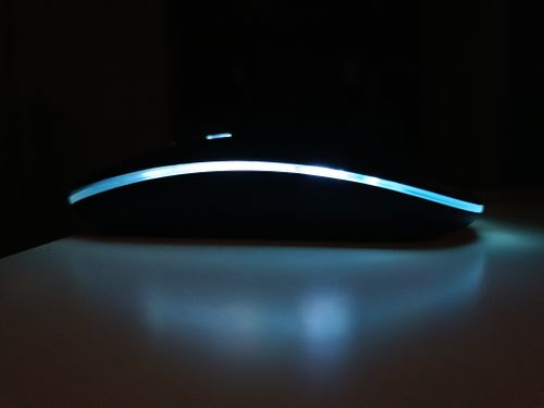 Free Mouse Stock Photo