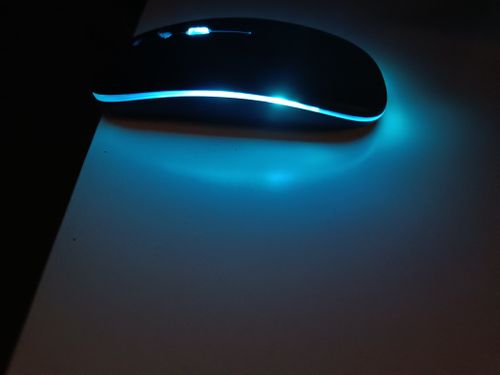 Free Mouse Stock Photo