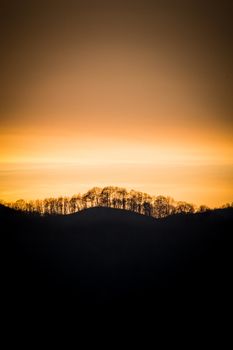 A serene silhouette of trees on a hill with a vibrant sunset sky, creating a peaceful natural scene.