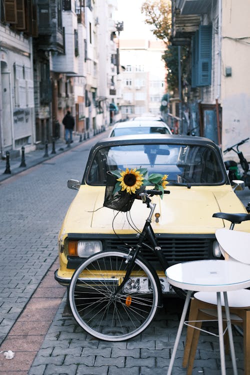 Foto profissional grátis de automóvel, bicicleta, rua