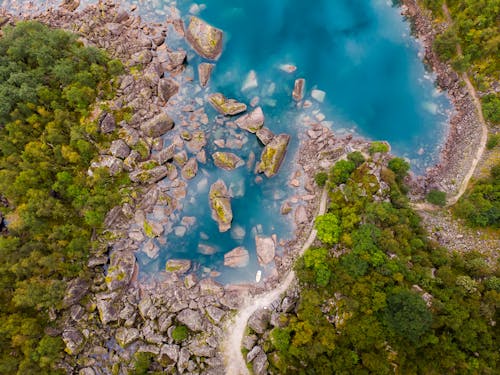 Immagine gratuita di acqua, acque calme, albero