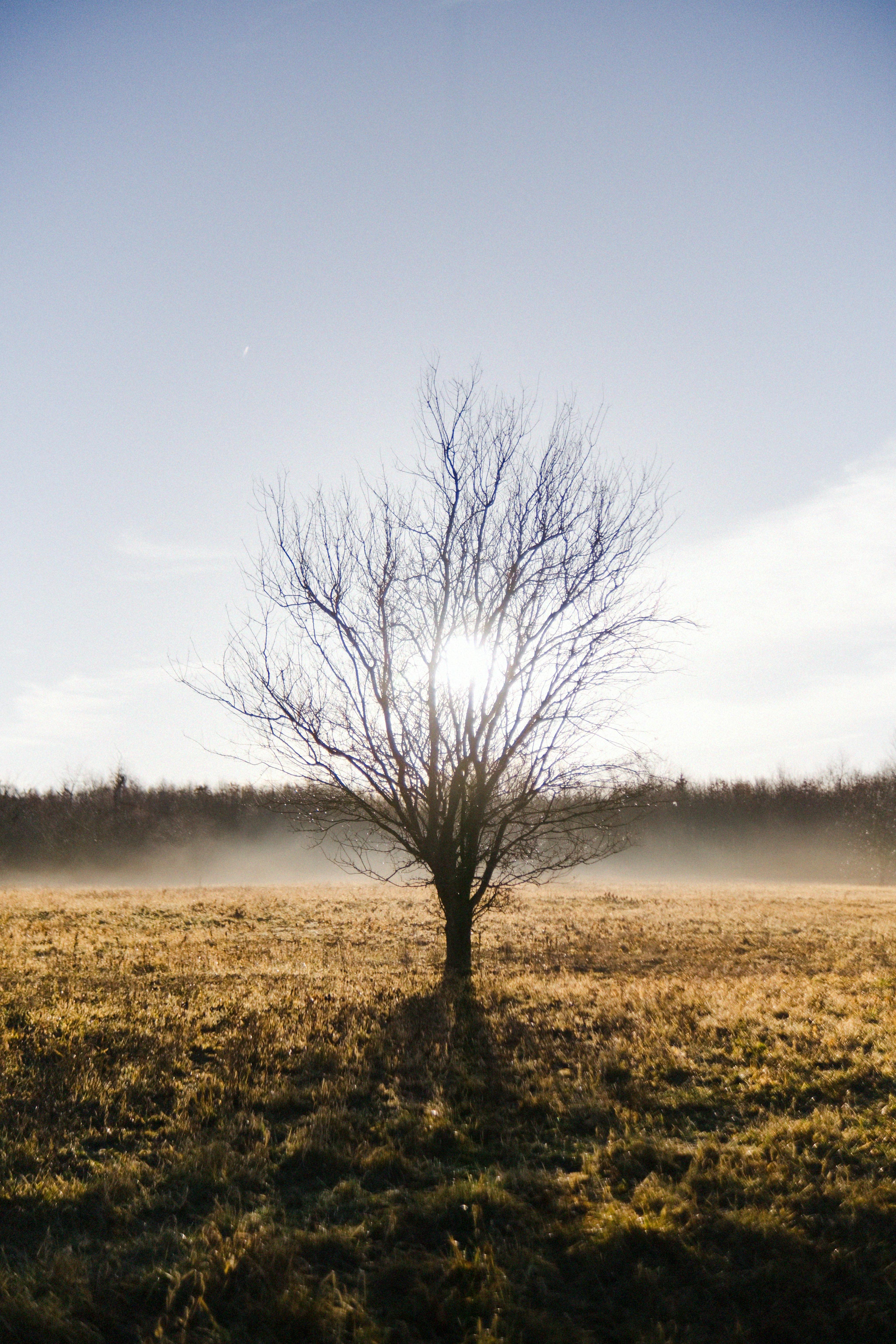 Photo by Jenda Kubeš