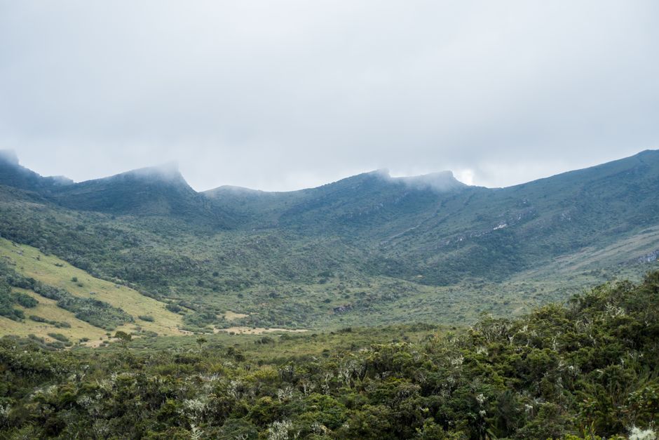waktu terbaik berkunjung ke wamena