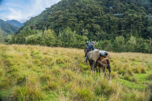 A man on horseback traverses the rural landscape of Urrao, Antioquia, Colombia.