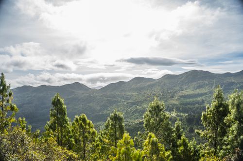 Free Beautiful aerial view of lush green mountains and forest in Bogotá, Colombia under a bright sky. Stock Photo