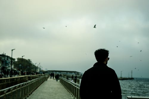 Clouds over Birds and Man on Pier on Shore