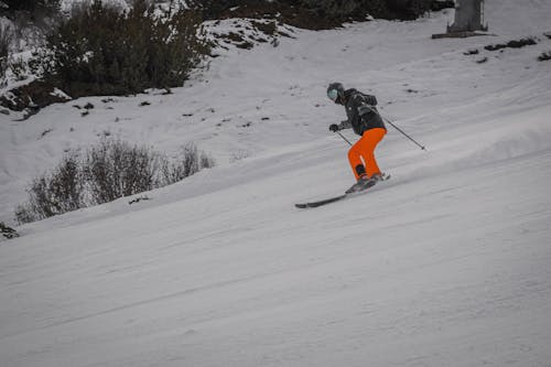 Fotos de stock gratuitas de acción, bastones de esquí, cuesta abajo
