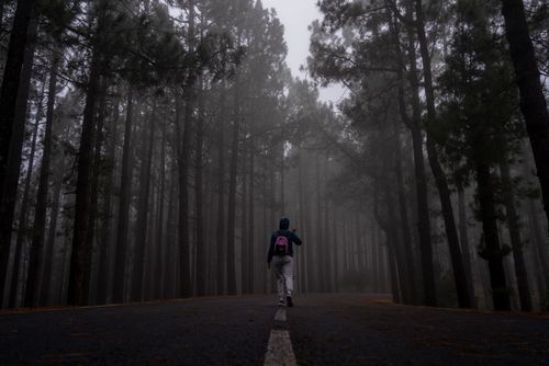 Free A lone person with a backpack walks along a misty forest road surrounded by tall trees. Stock Photo