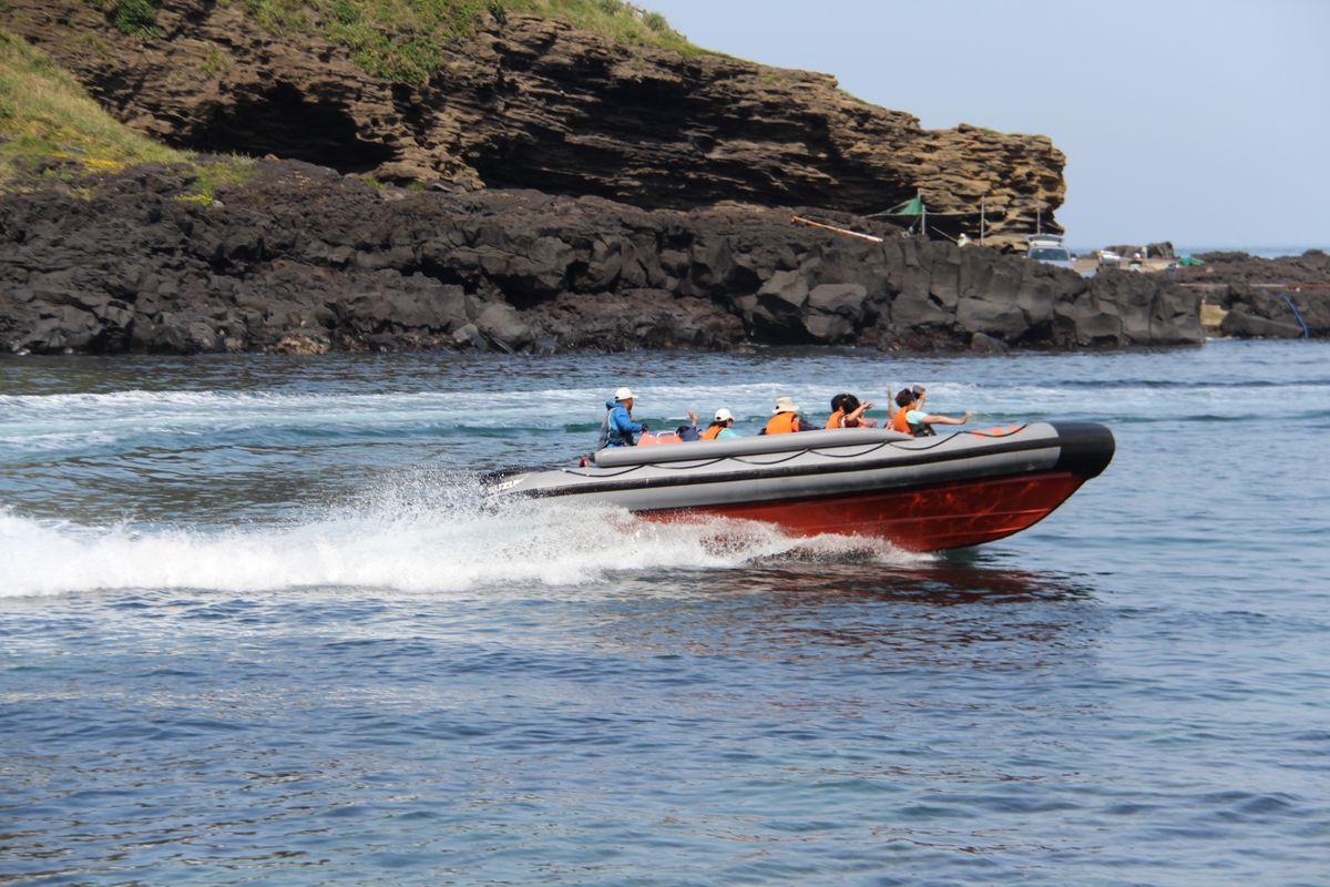Take a Boat Tour Around the Islands