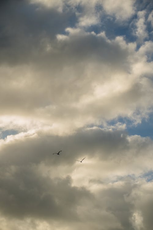 Foto profissional grátis de atmosfera, céu, nublado