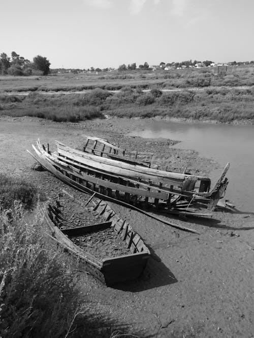 Free Two Destroyed Rowboats Lying on a Lakeshore Stock Photo