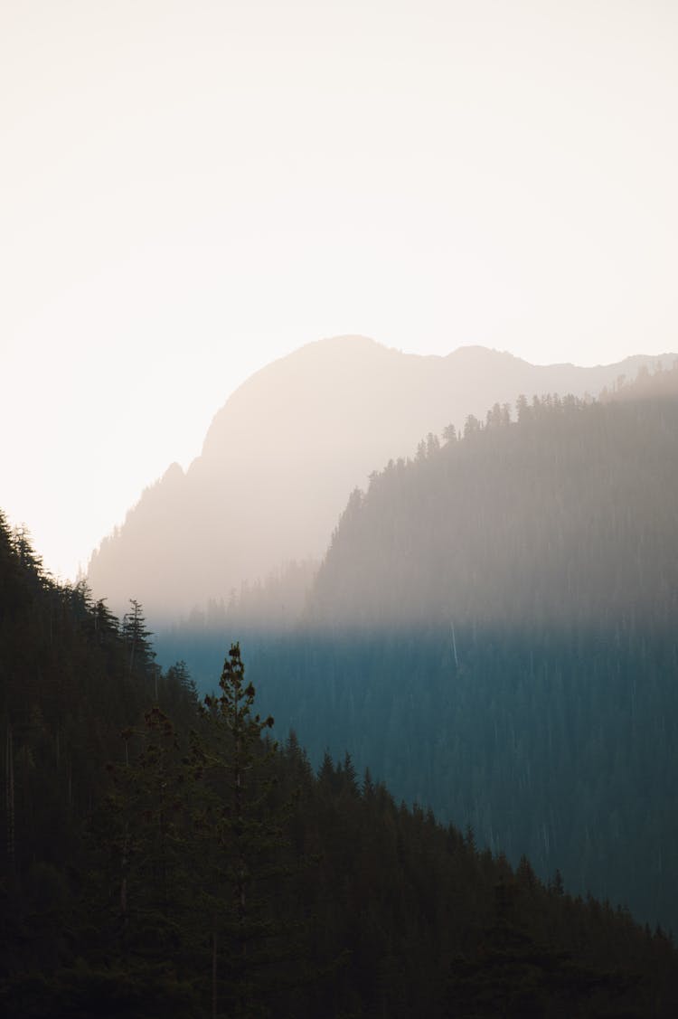 Foggy Mountain Landscape 