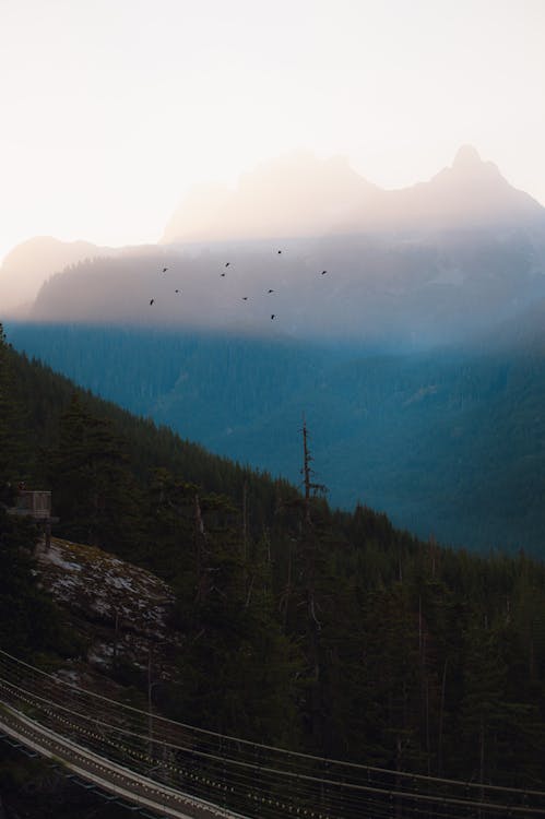 Mountains in Fog