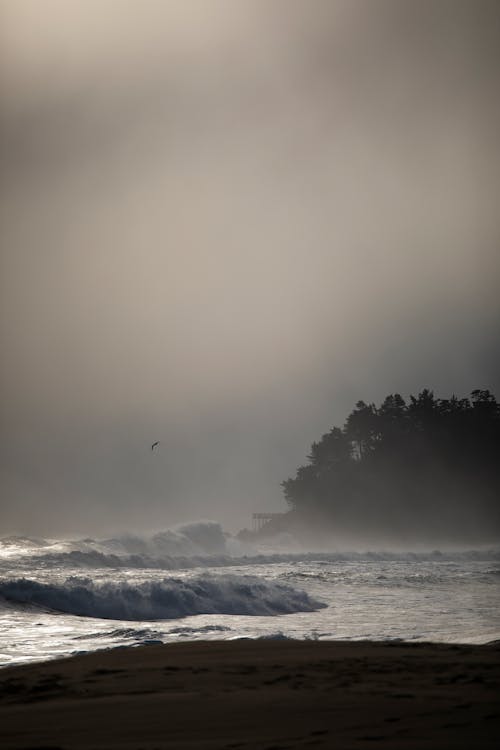 Fotos de stock gratuitas de blanco y negro, dice adiós, la marea alta