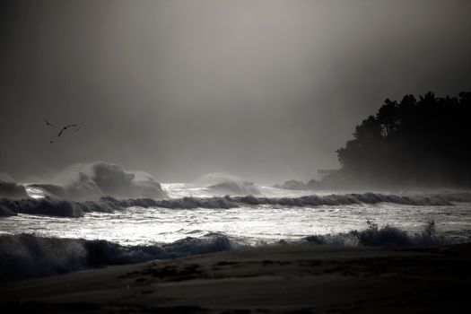 Moody seascape at Sokcho-si, showcasing crashing waves and distant birds.