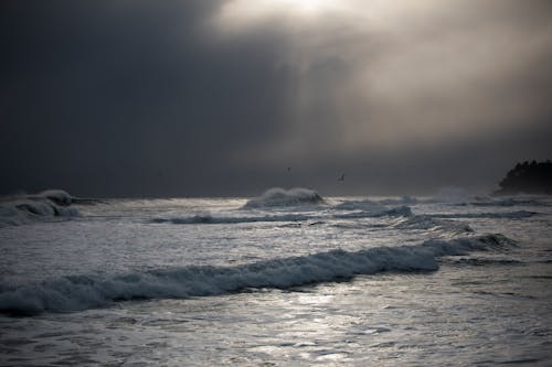 Grayscale Photo of Crashing Ocean Waves