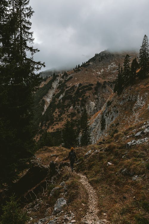 Woman Walking on Mountain during Foggy Weather