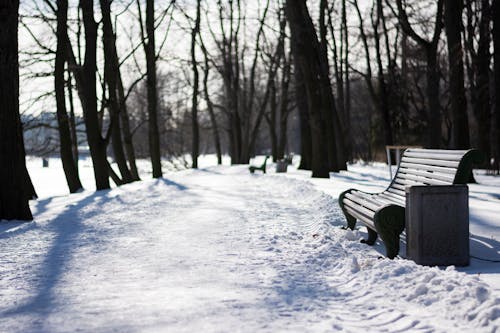 Fotobanka s bezplatnými fotkami na tému chladné počasie, lavička, park
